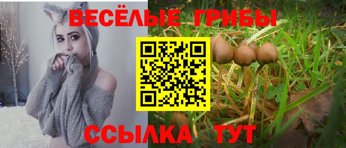 Псилоцибиновые грибы прущие грибы  Псилоцибиновые грибы Psilocybine cubensis  Набережные Челны  Вход с VPN 